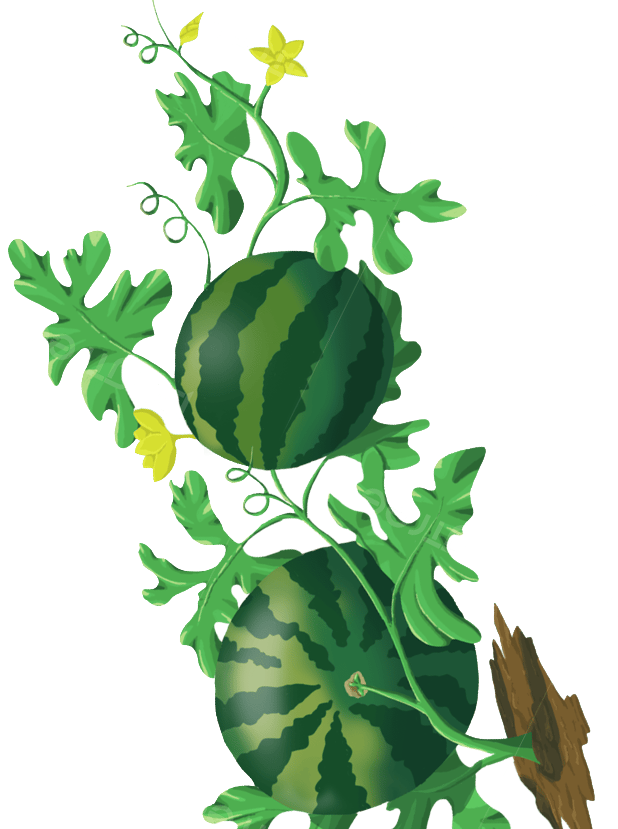 Image is not available